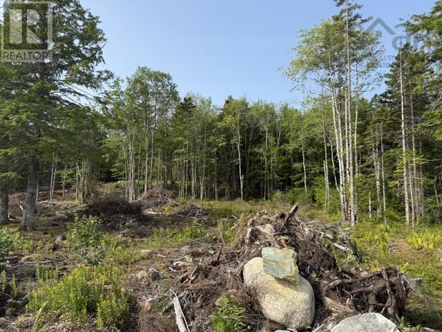 Lot 12 Island View Drive Property Photo 8