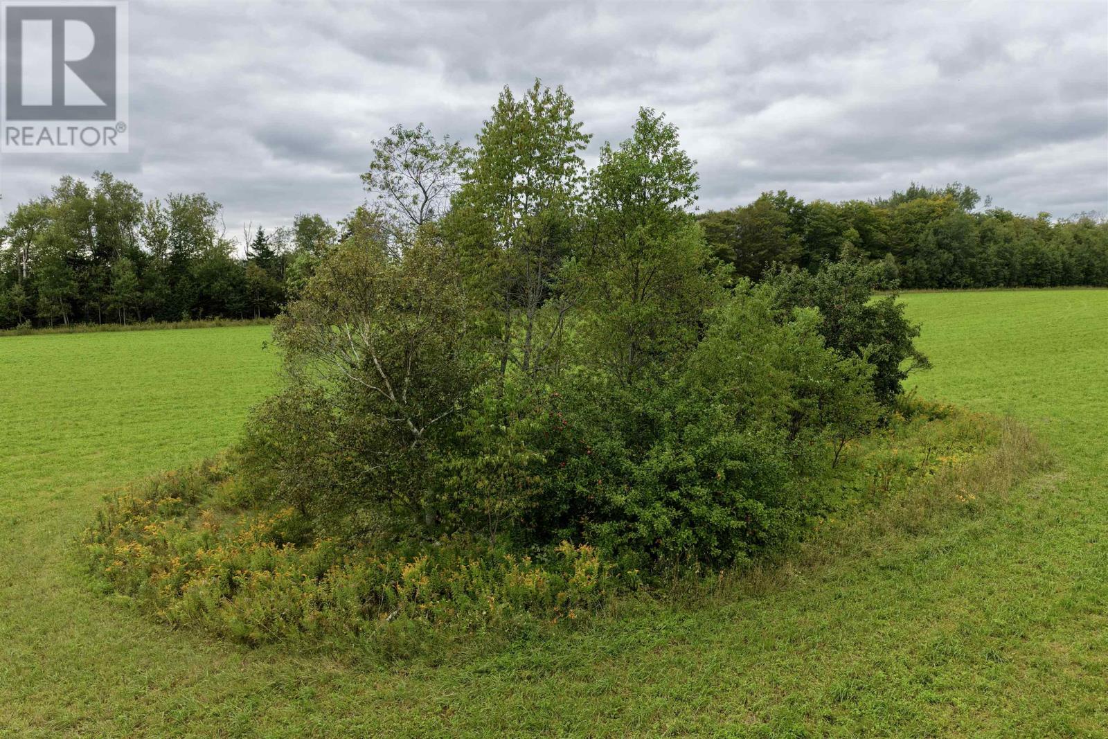 1868 Brooklyn Road Property Photo 7