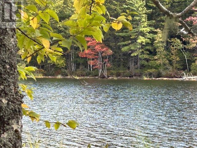 Lot 4 Lakeshore Drive Property Photo 1