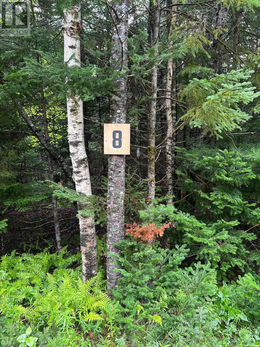 Lot 8 No 7 Highway Property Photo 2