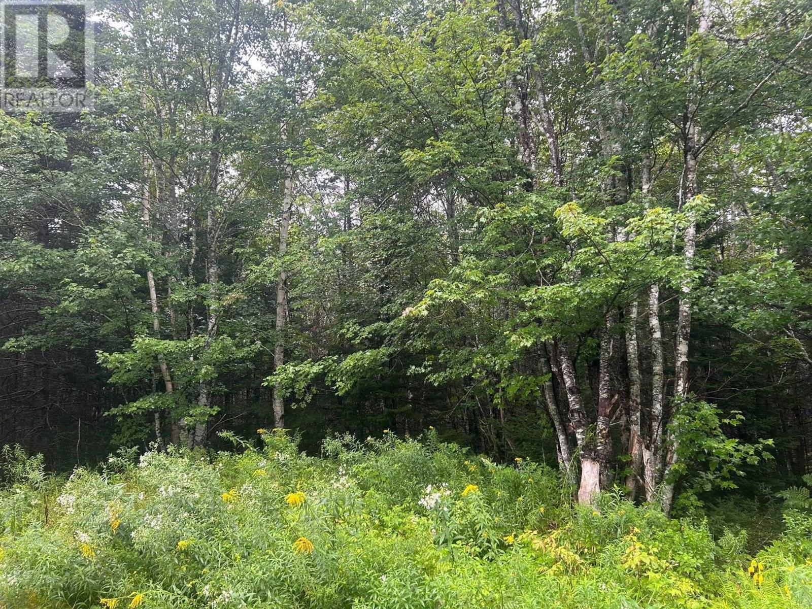 Lot 8 No 7 Highway Property Photo 3