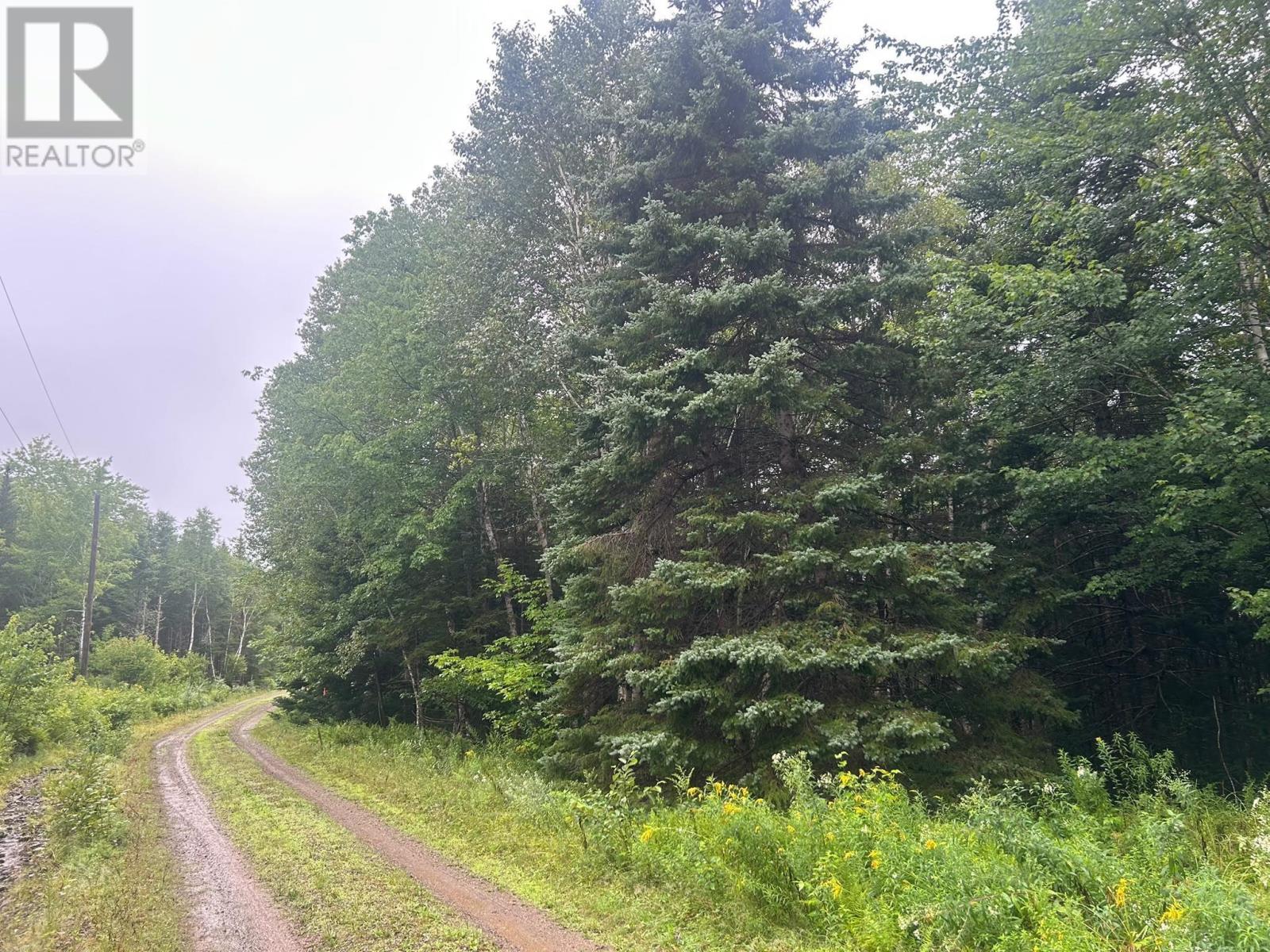Lot 8 No 7 Highway Property Photo 4