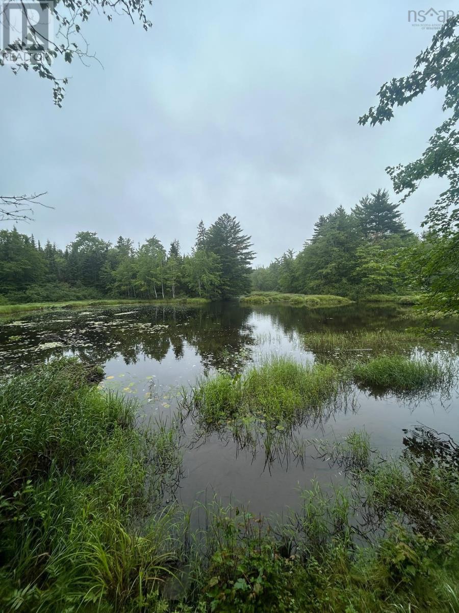 Lot 8 No 7 Highway Property Photo 9