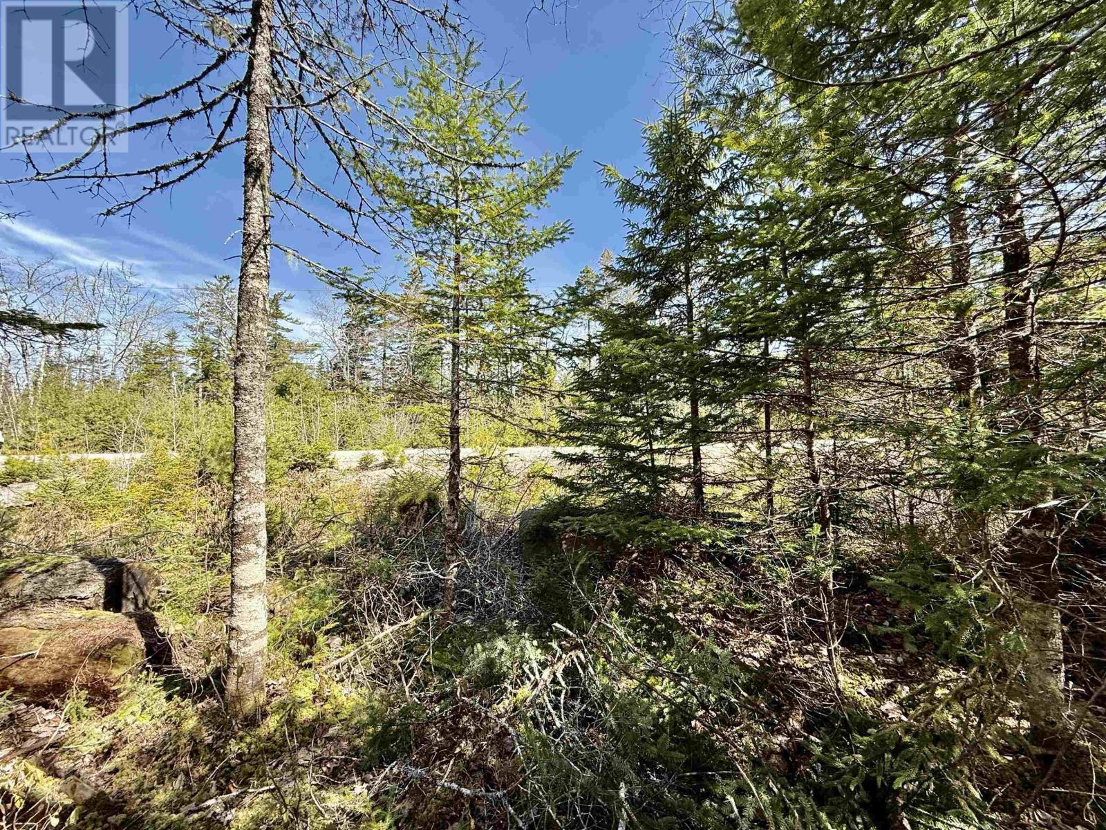 Lot 32 Dynasty Court Property Photo 1