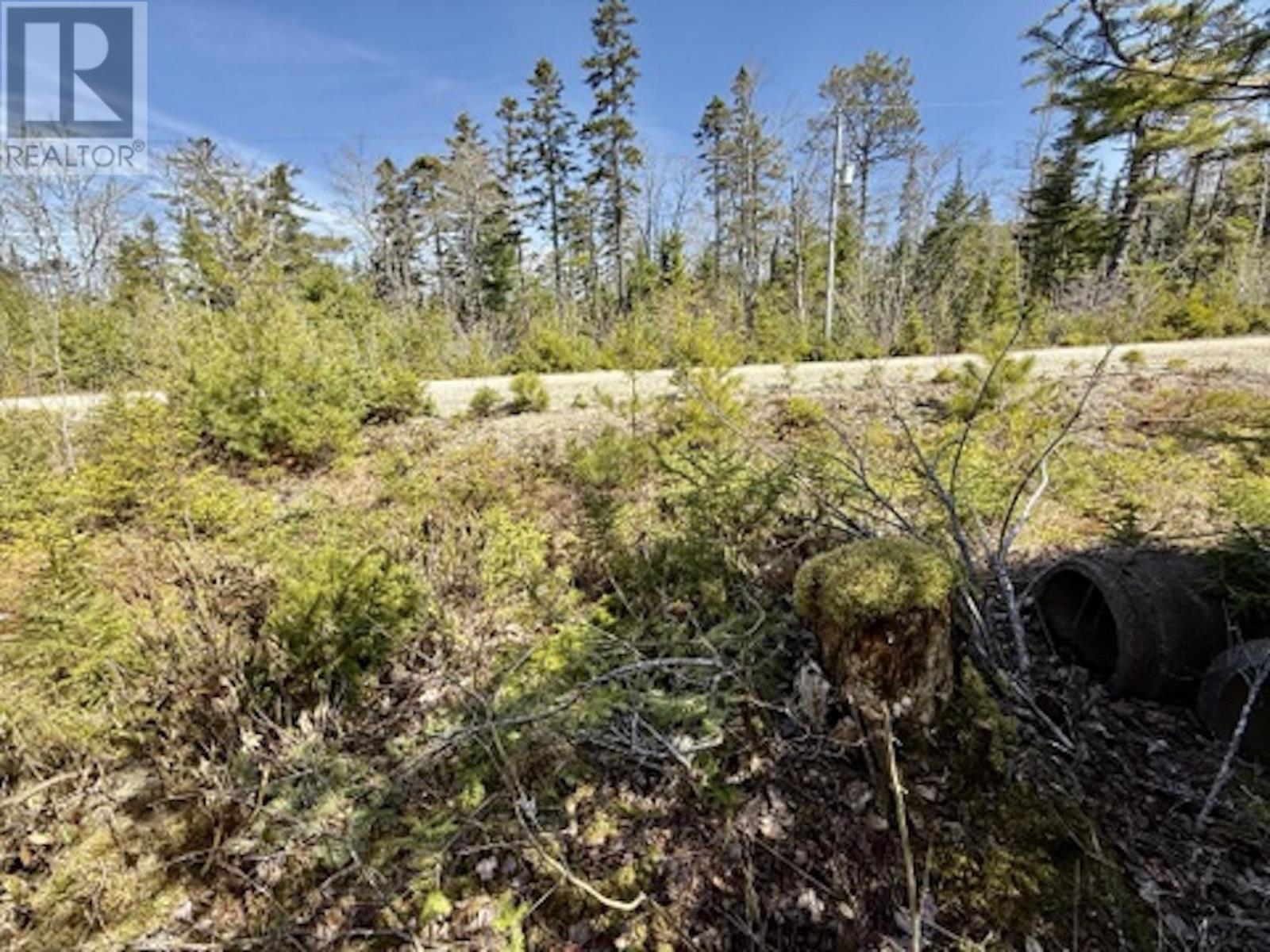 Lot 32 Dynasty Court Property Photo 2