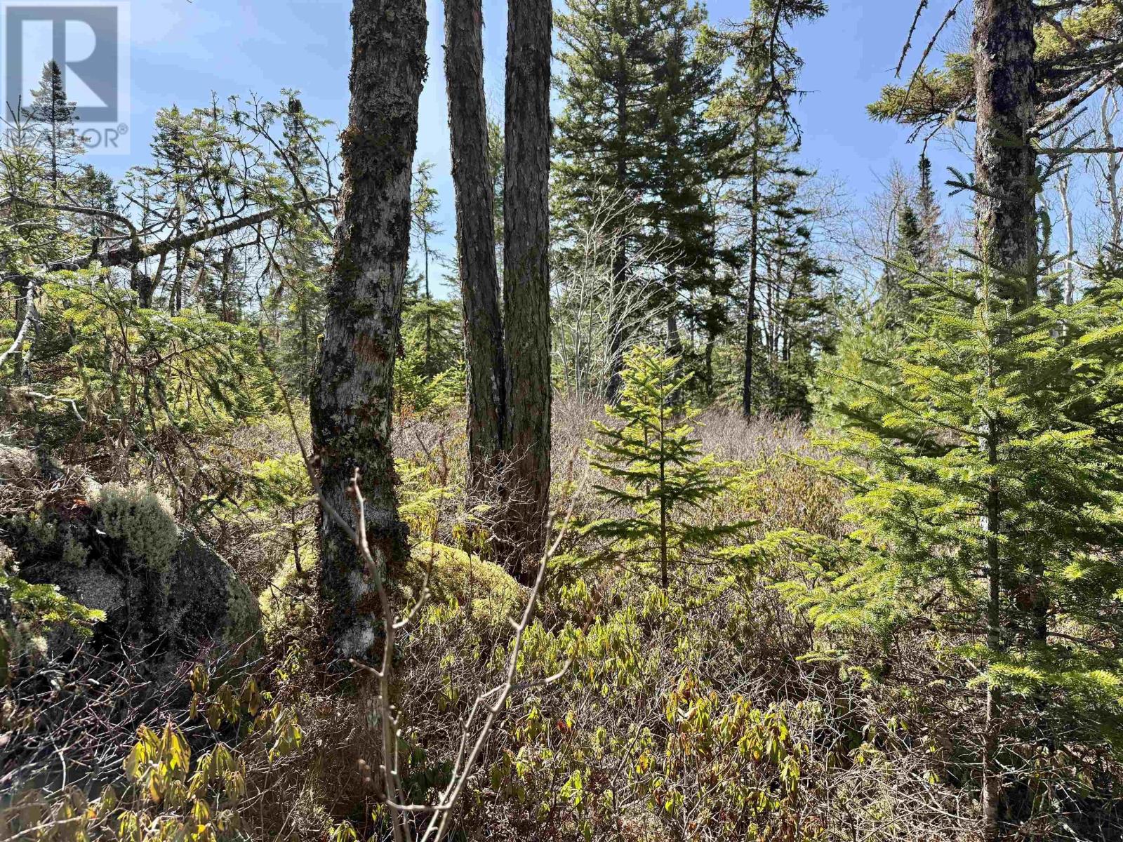 Lot 32 Dynasty Court Property Photo 5