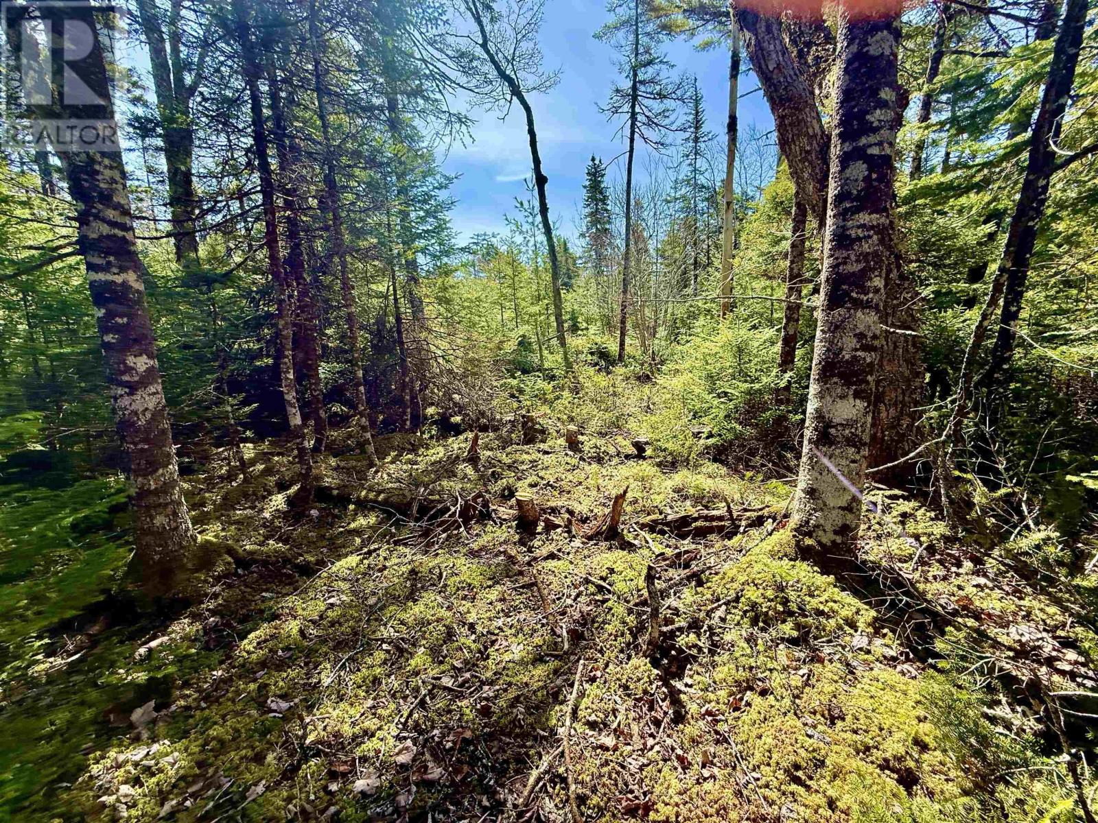 Lot 32 Dynasty Court Property Photo 6