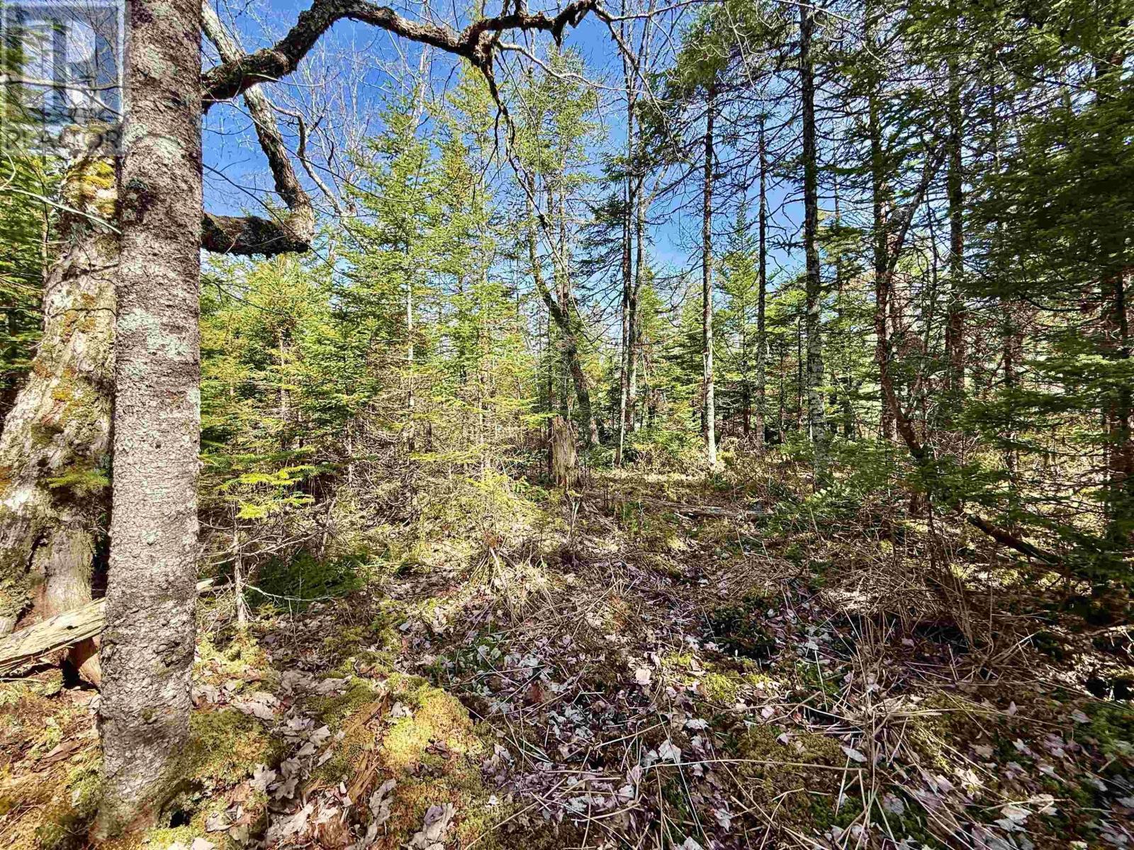 Lot 32 Dynasty Court Property Photo 7