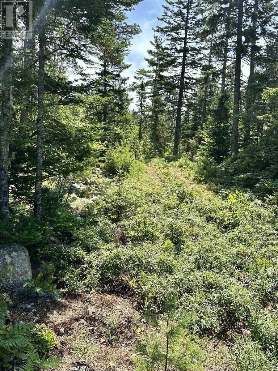 Lot 32 Dynasty Court Property Photo 8