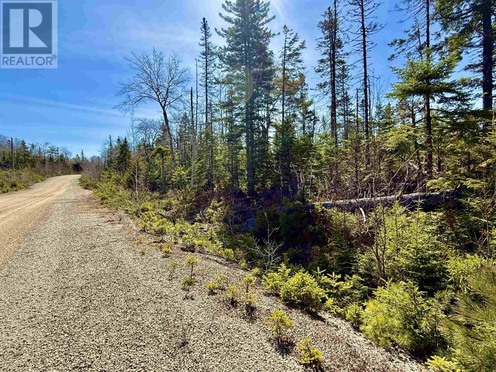 Lot 32 Dynasty Court Property Photo 11