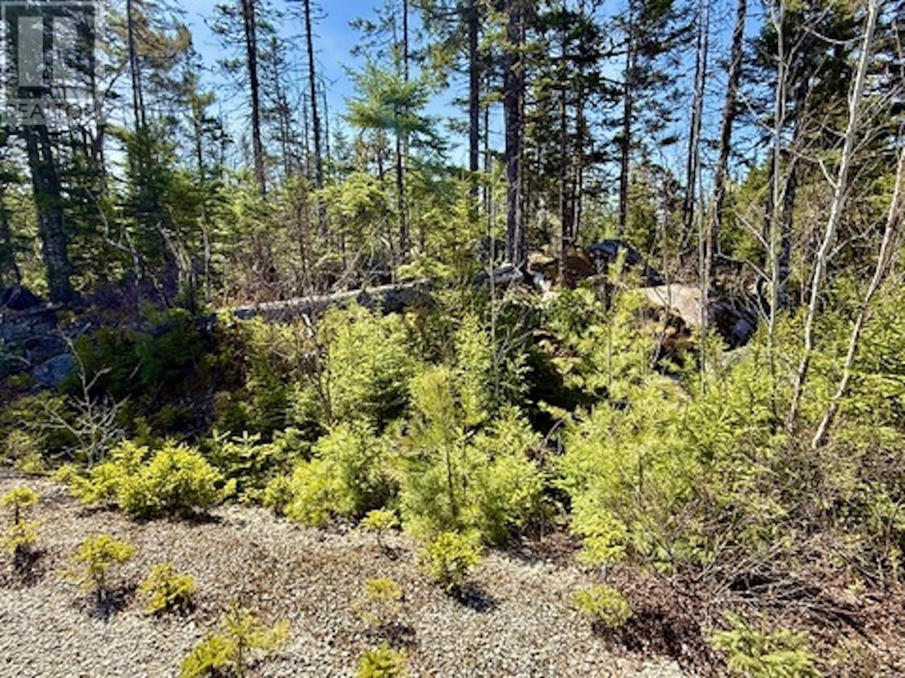 Lot 32 Dynasty Court Property Photo 12