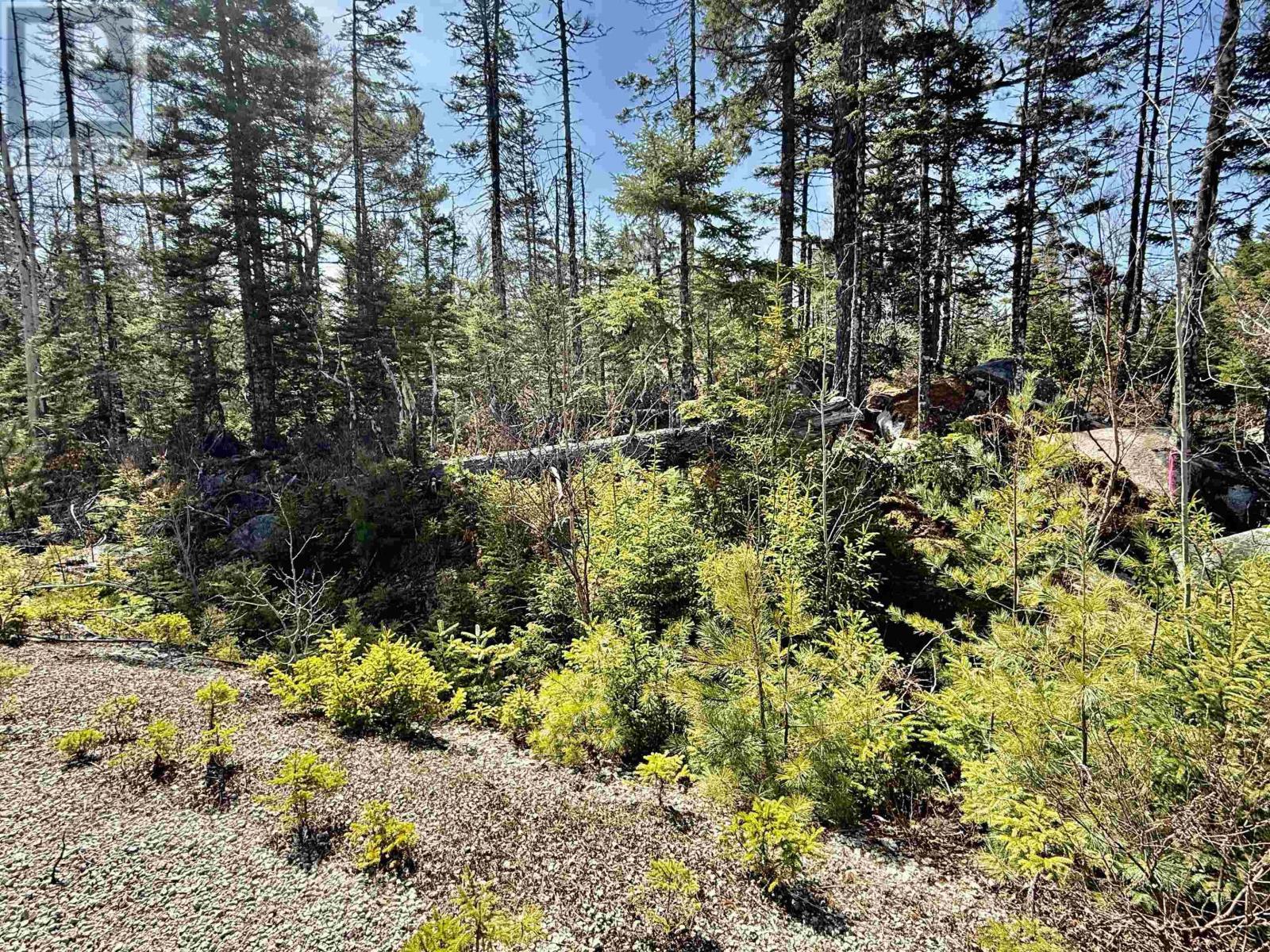 Lot 32 Dynasty Court Property Photo 13