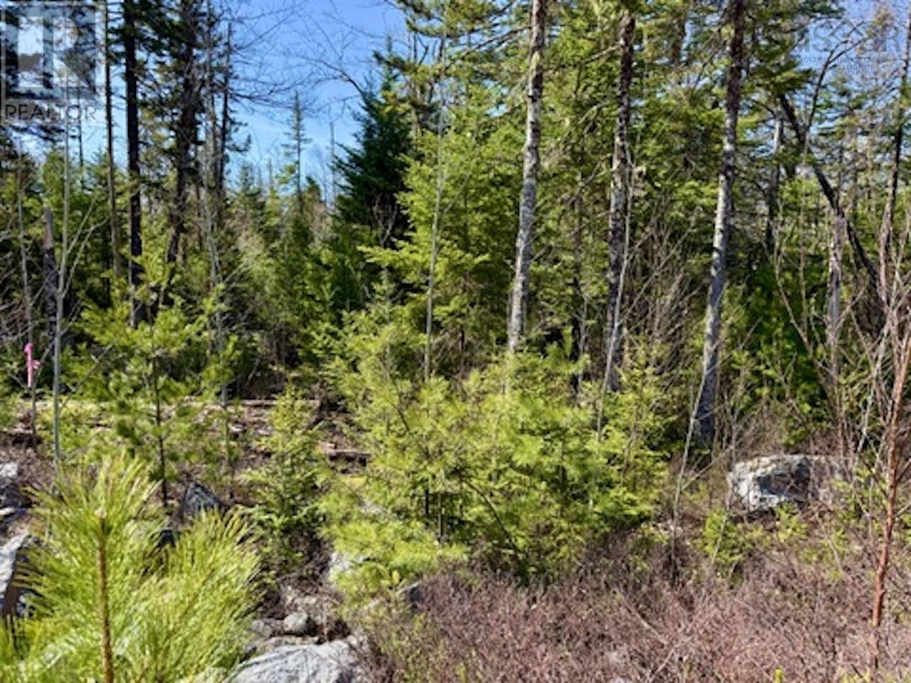 Lot 32 Dynasty Court Property Photo 14