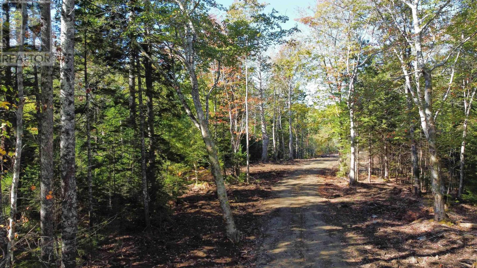 Lot Highway 308 Property Photo 10
