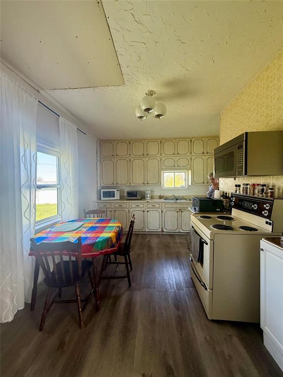 27 Neil Street Property Photo 5