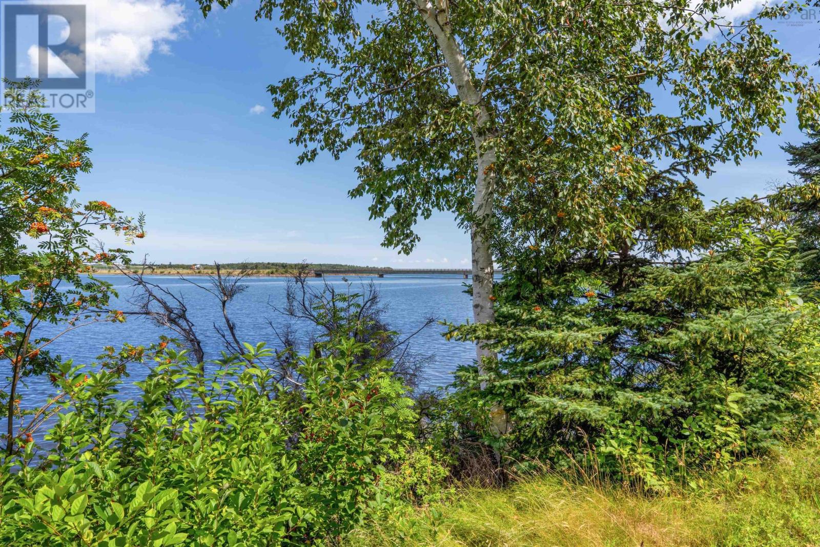 9277 Highway 321 Property Photo 5