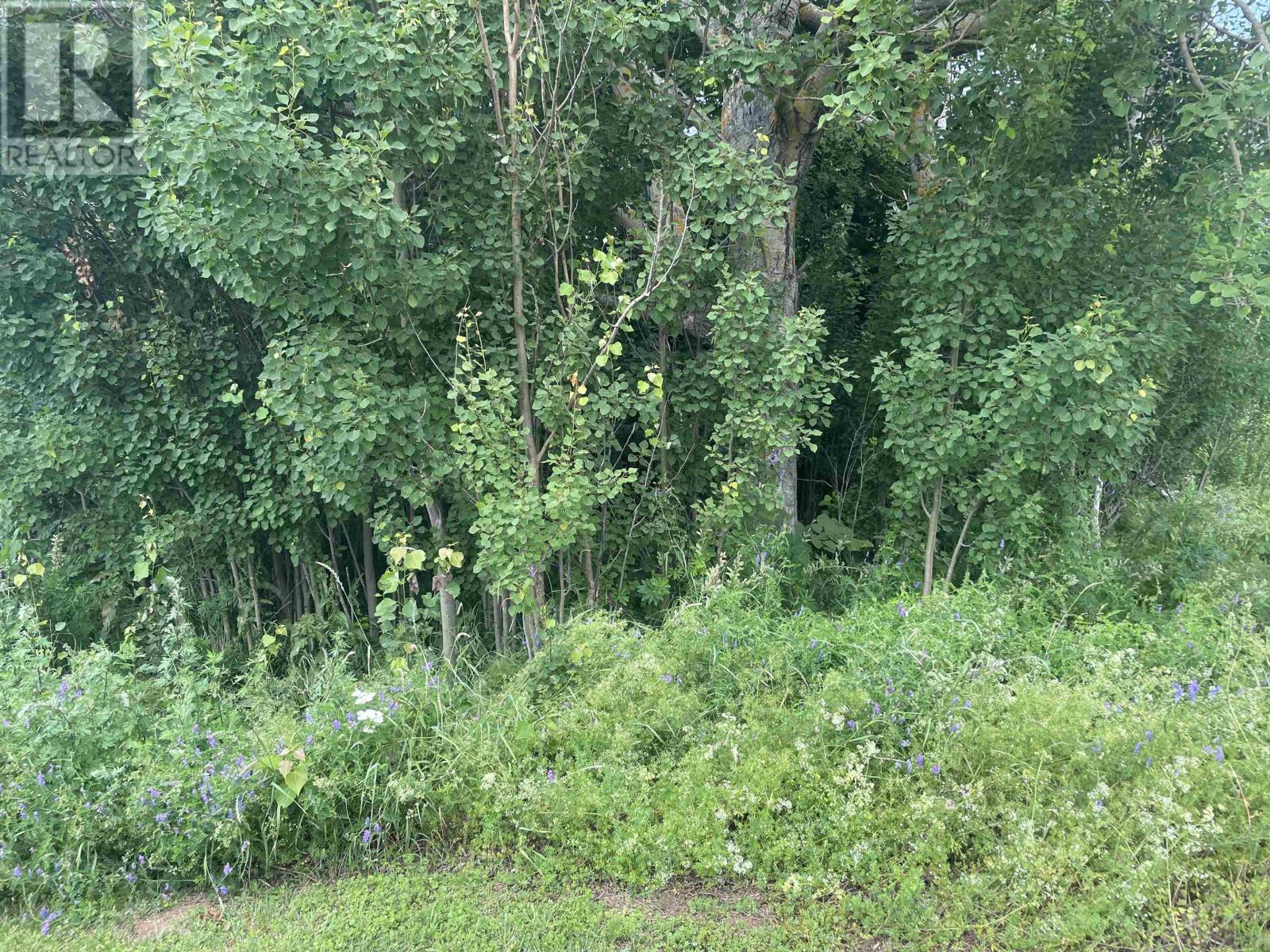 786 Route 10 Property Photo 13