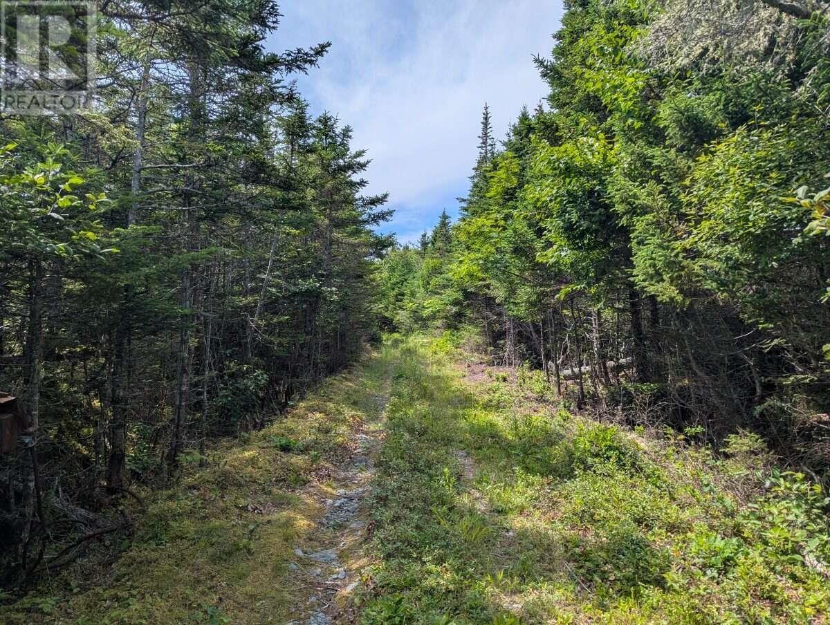 Lot B Sober Island Road Property Photo 16
