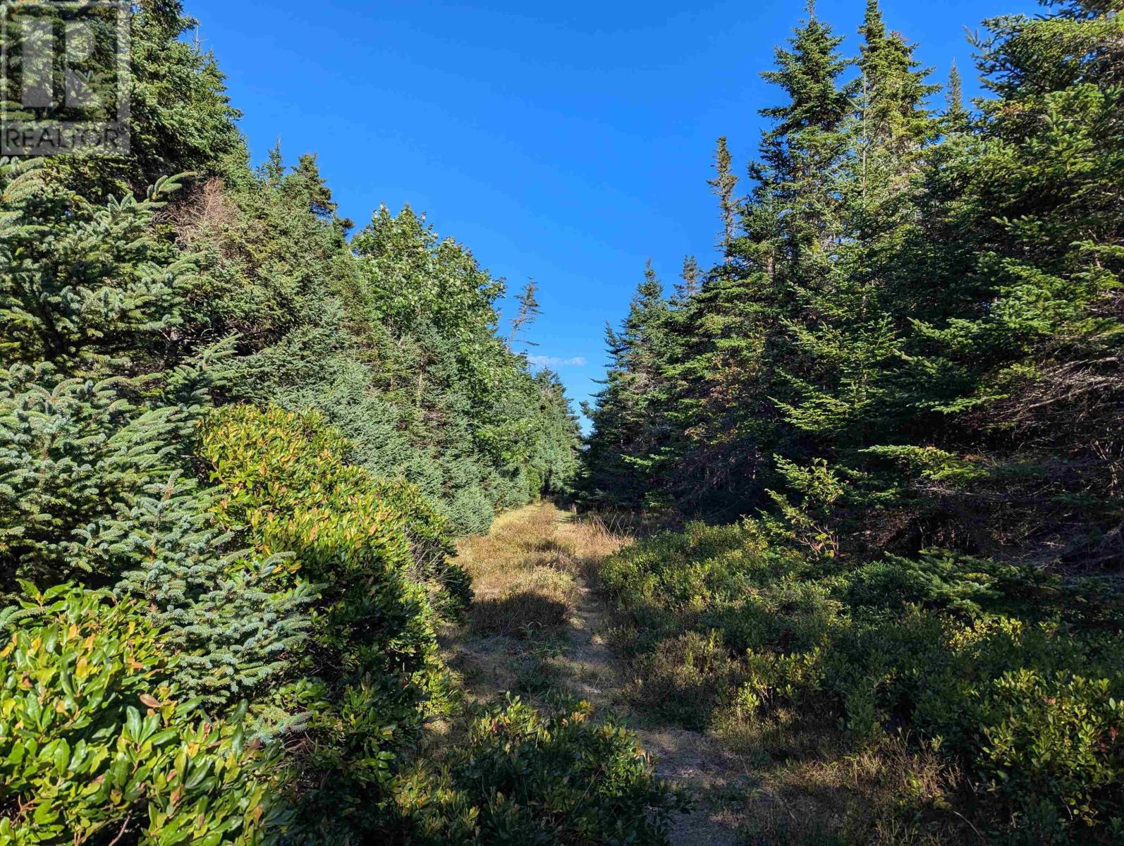 Lot B Sober Island Road Property Photo 17