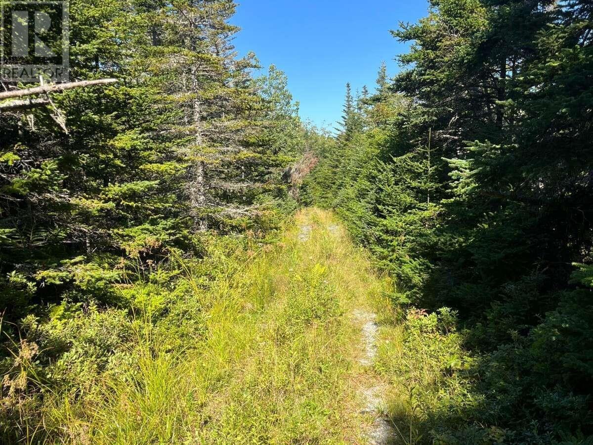 Lot B Sober Island Road Property Photo 18