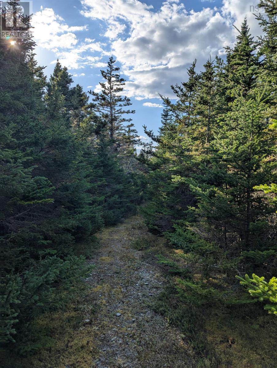 Lot B Sober Island Road Property Photo 23