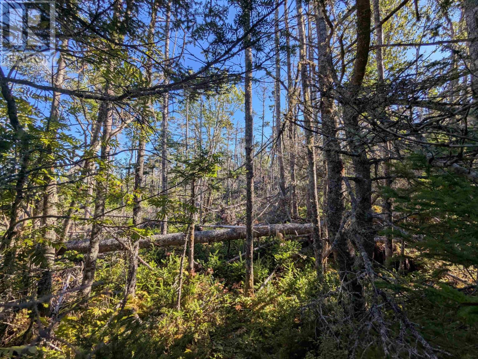 Lot B Sober Island Road Property Photo 46