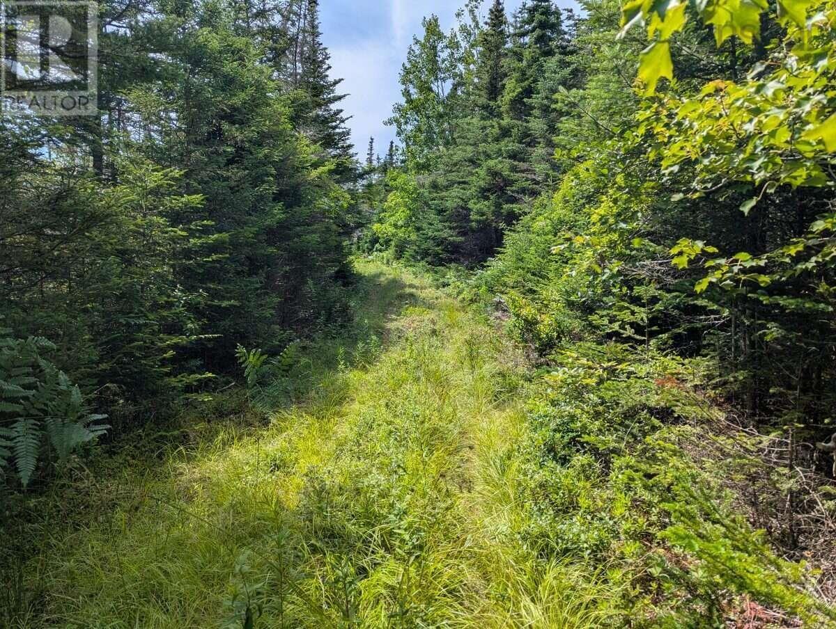 Lot B Sober Island Road Property Photo 49