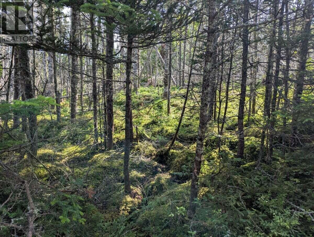 Lot B Sober Island Road Property Photo 50
