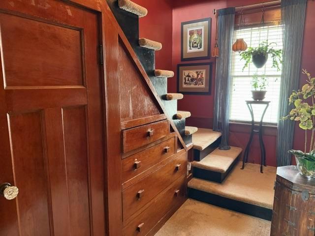 10 Arthur Avenue Property Photo 25
