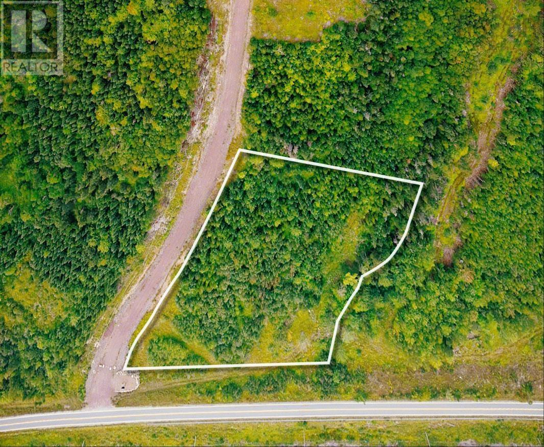 Lot 23-1 No 4 Highway Property Photo 5