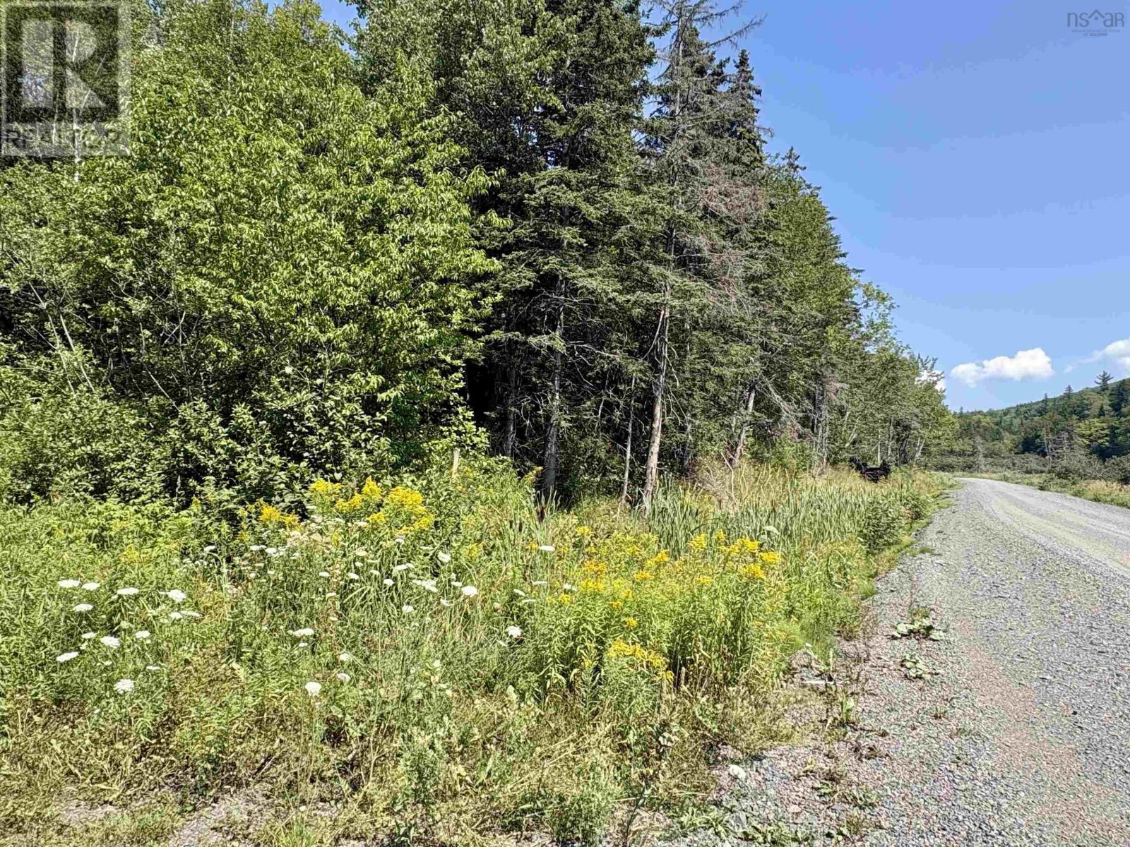 Lot 1 Northeast Mabou Road Property Photo 13