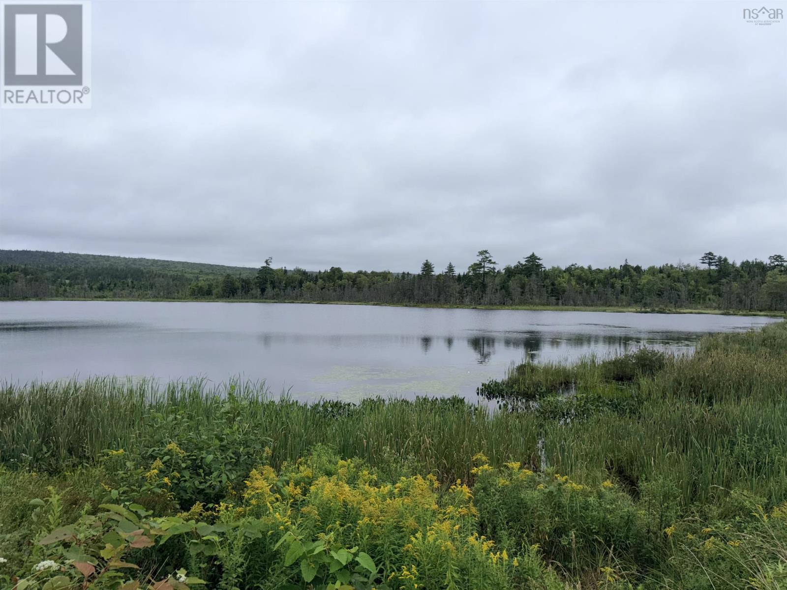 . Intervale Road Property Photo 3