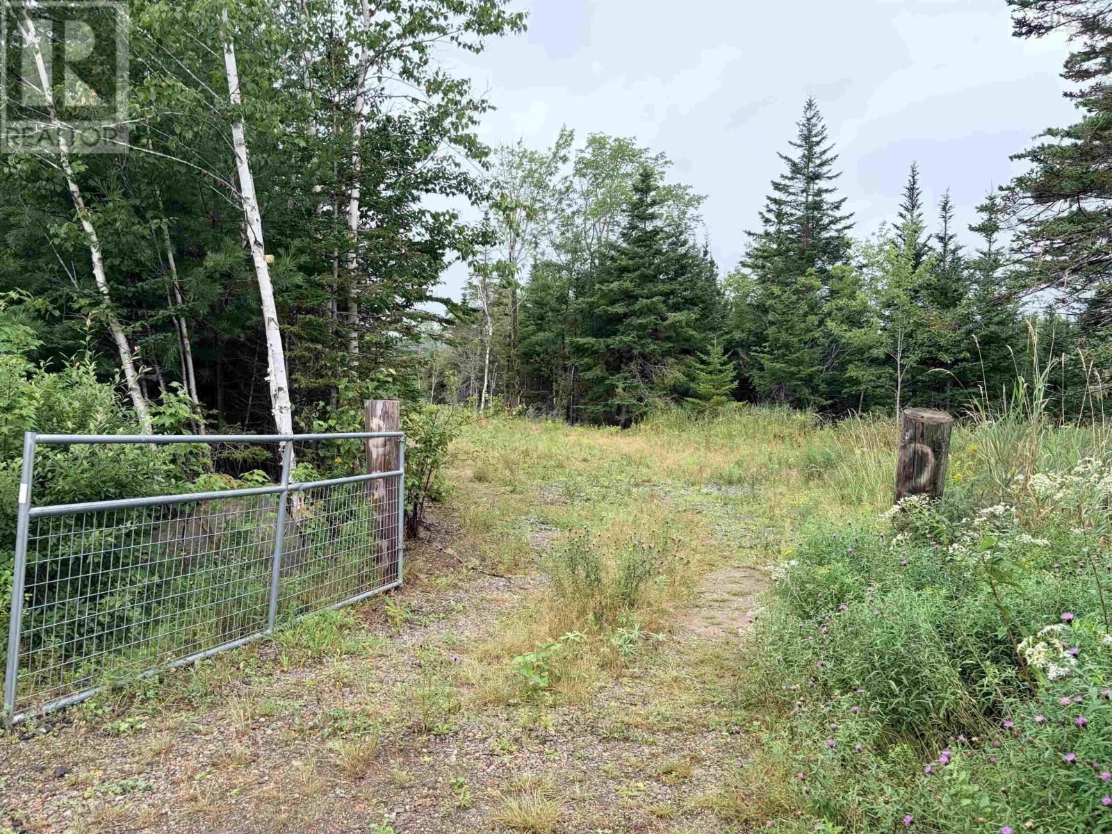 . Intervale Road Property Photo 5