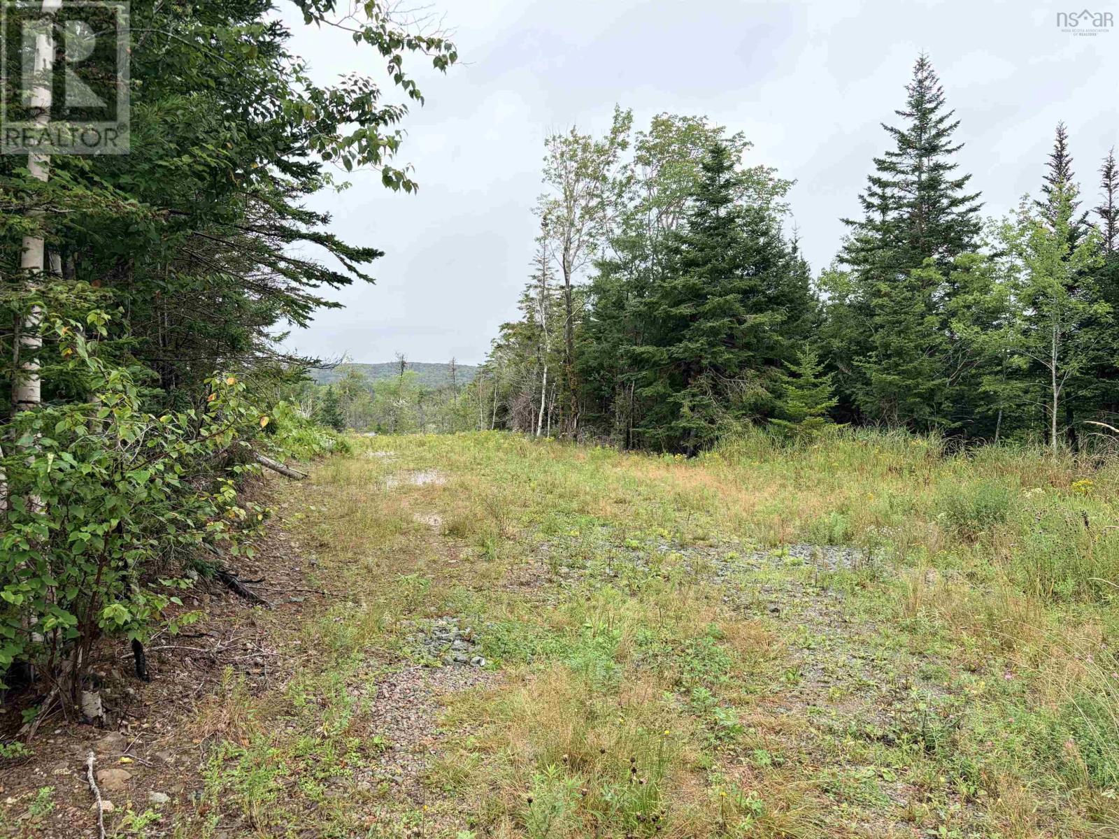 . Intervale Road Property Photo 6