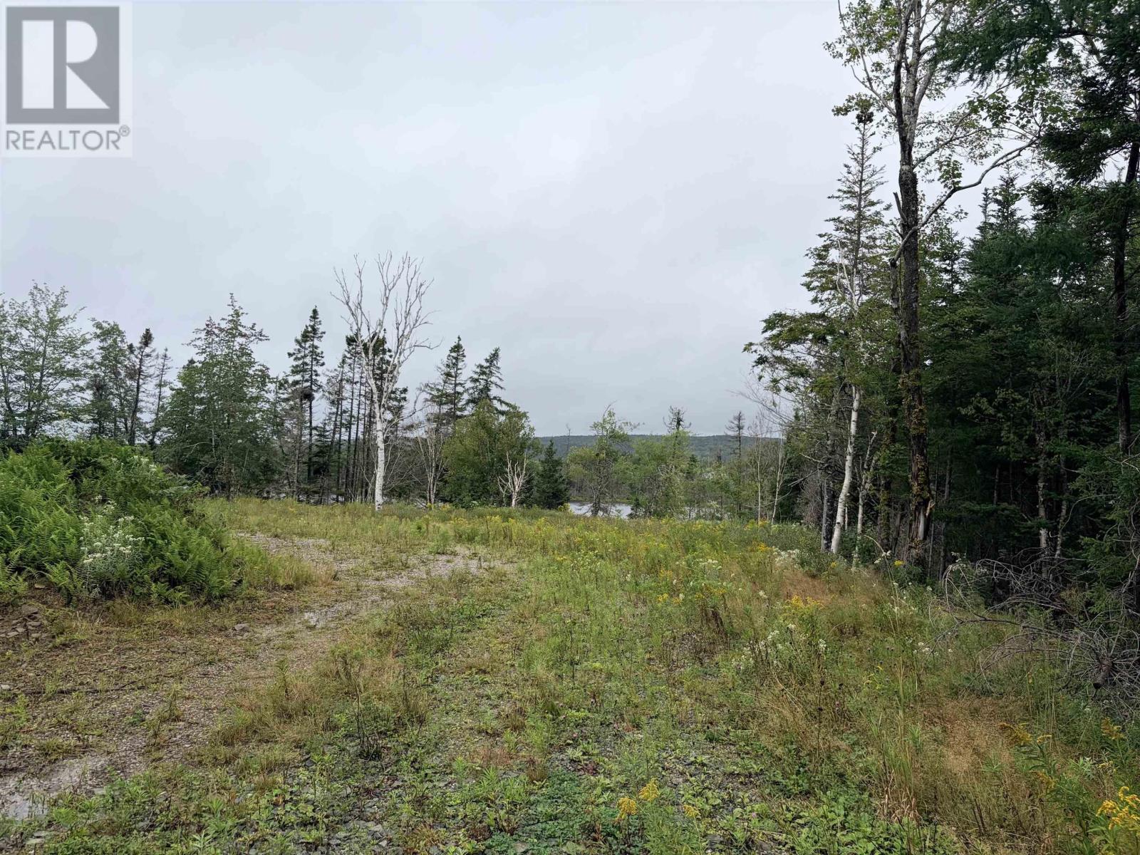 . Intervale Road Property Photo 7