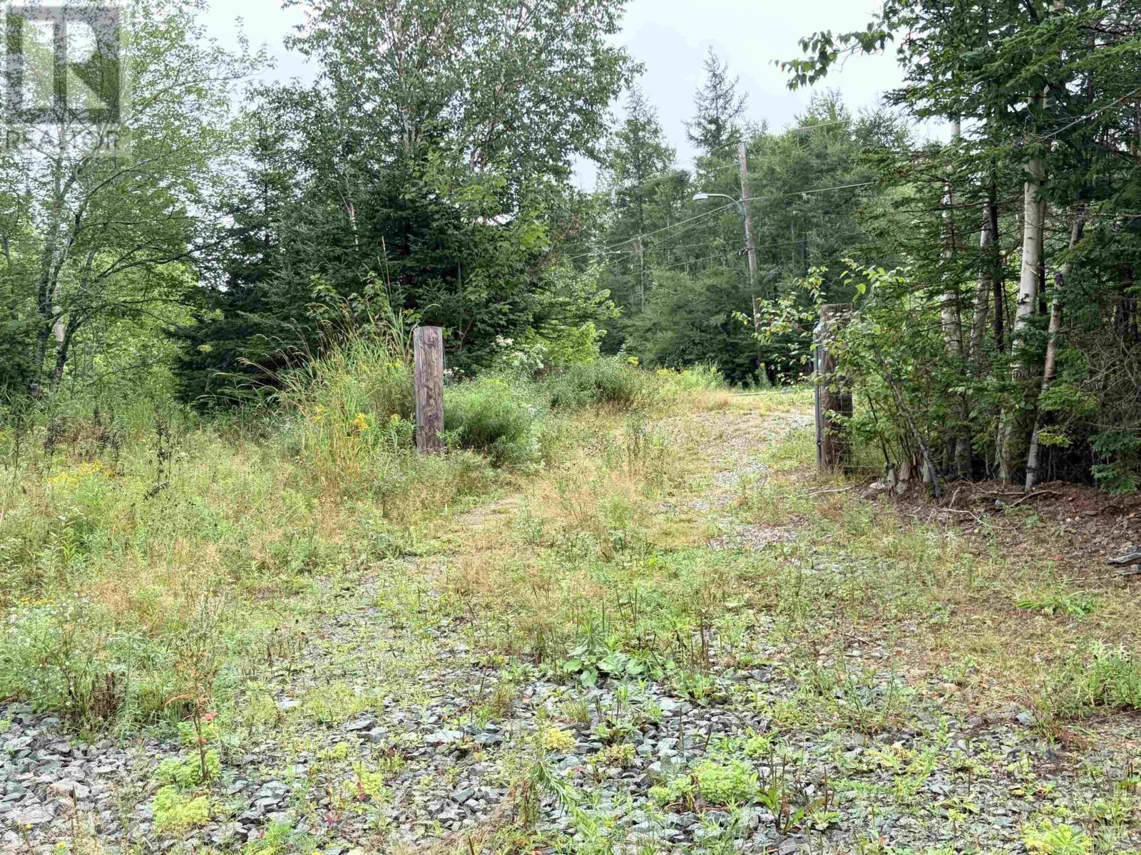 . Intervale Road Property Photo 9