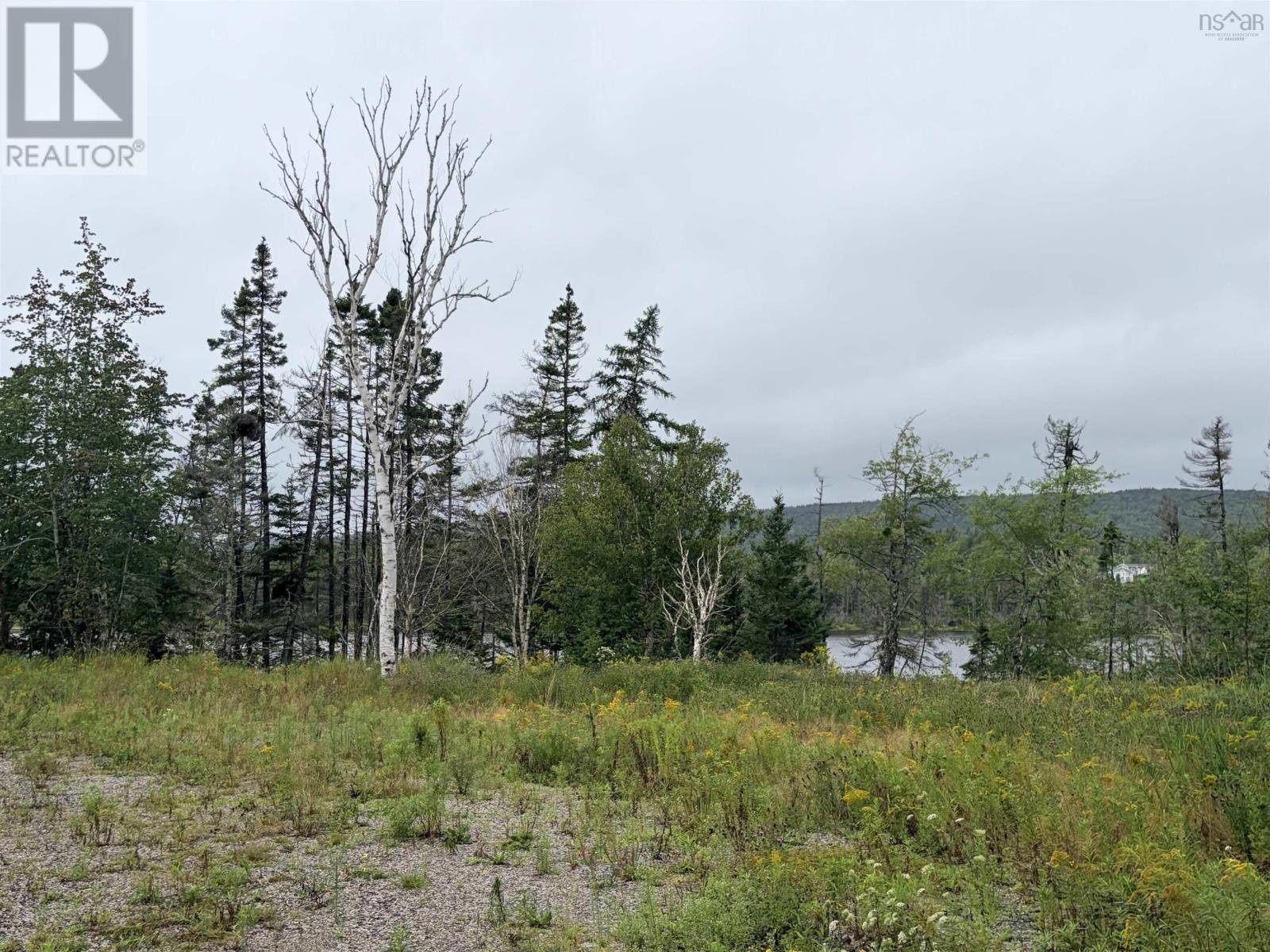 . Intervale Road Property Photo 10