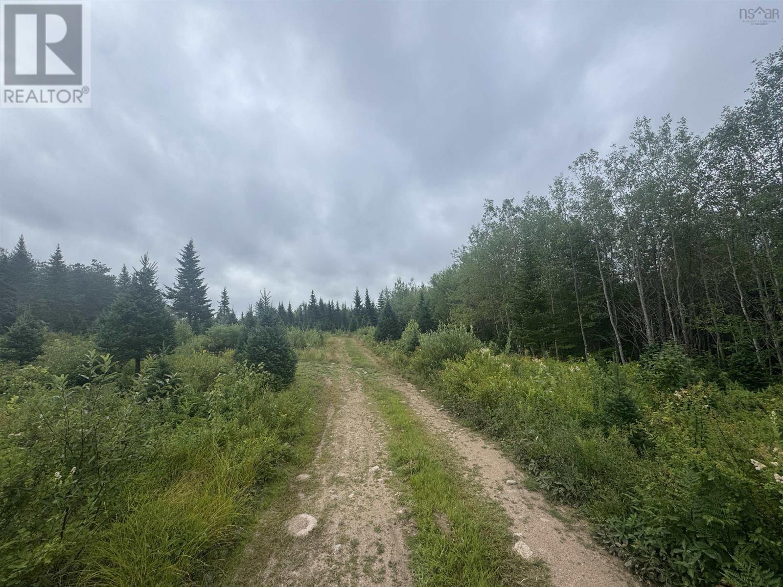 Lot A Hardwood Lake Road Property Photo 3