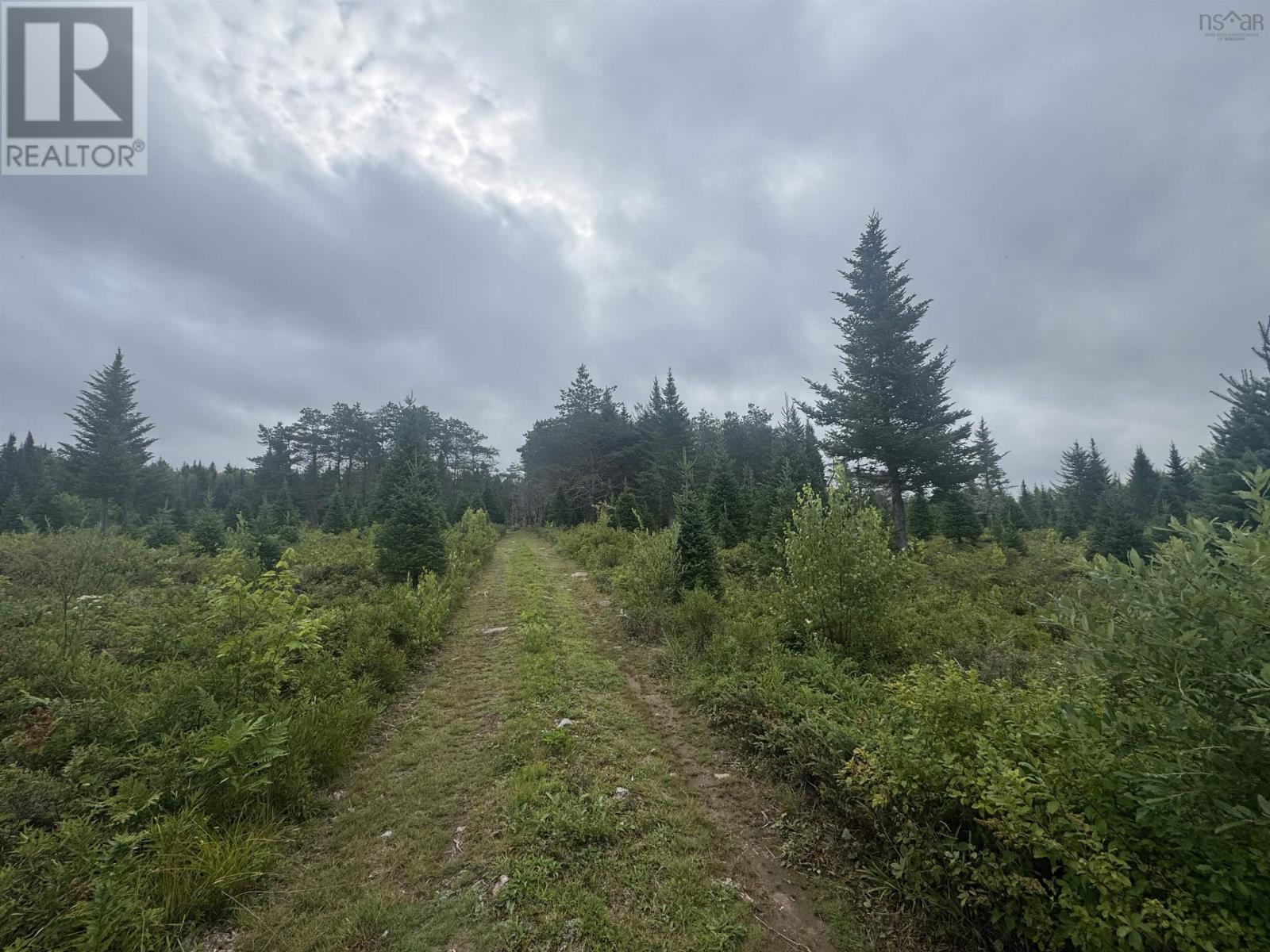 Lot A Hardwood Lake Road Property Photo 4