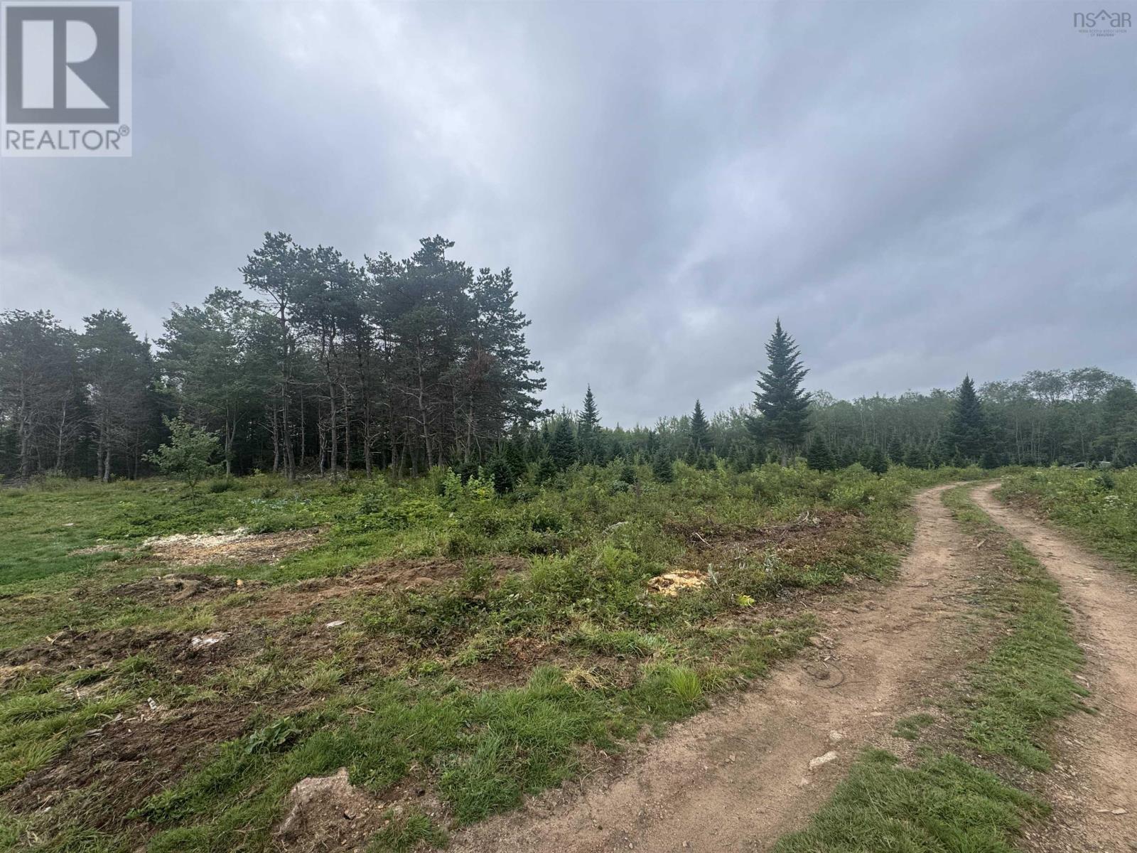 Lot A Hardwood Lake Road Property Photo 6