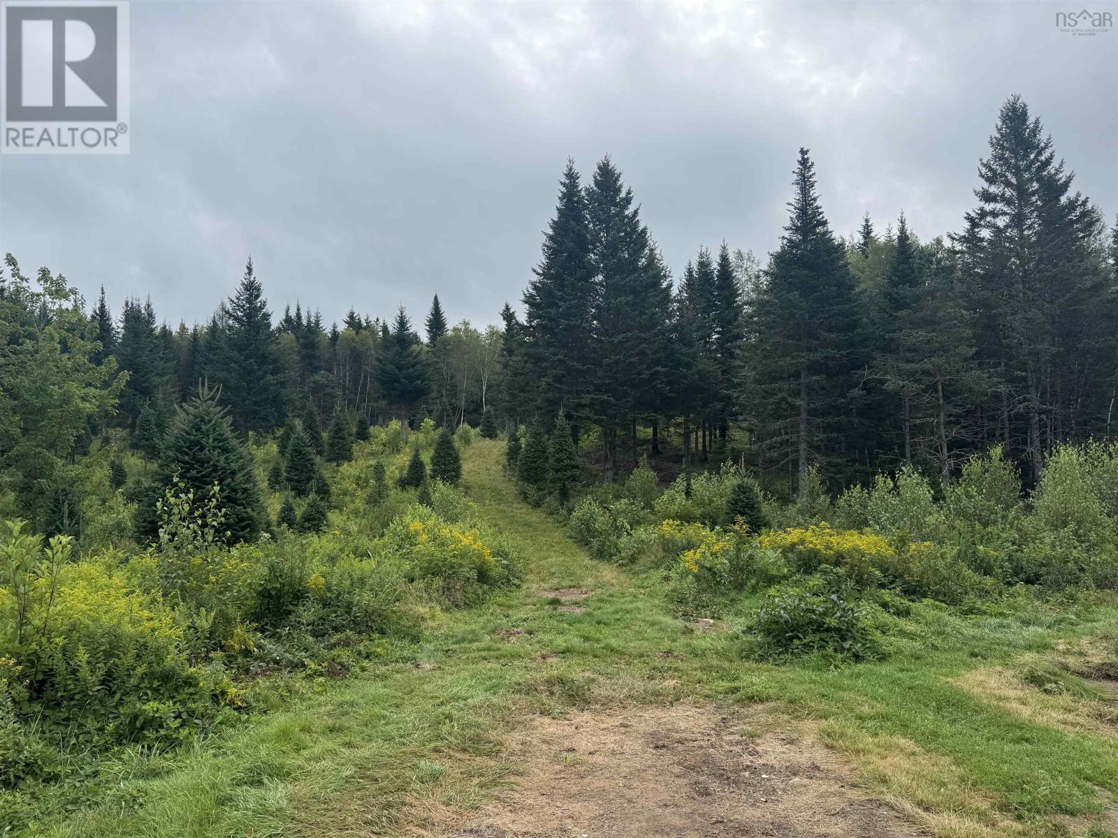 Lot A Hardwood Lake Road Property Photo 7