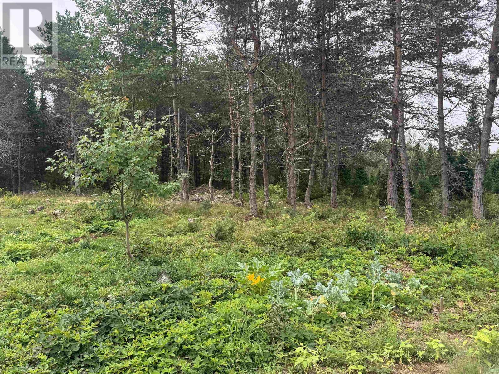 Lot A Hardwood Lake Road Property Photo 9