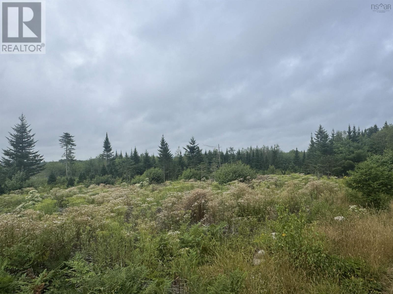 Lot A Hardwood Lake Road Property Photo 11
