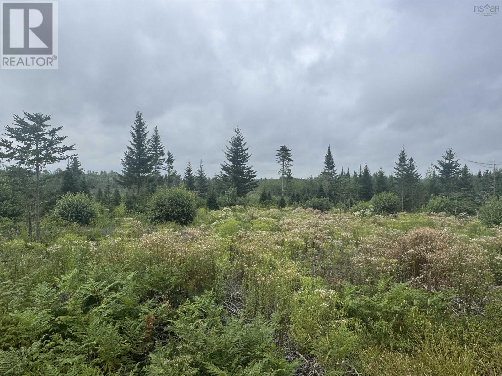 Lot A Hardwood Lake Road Property Photo 12