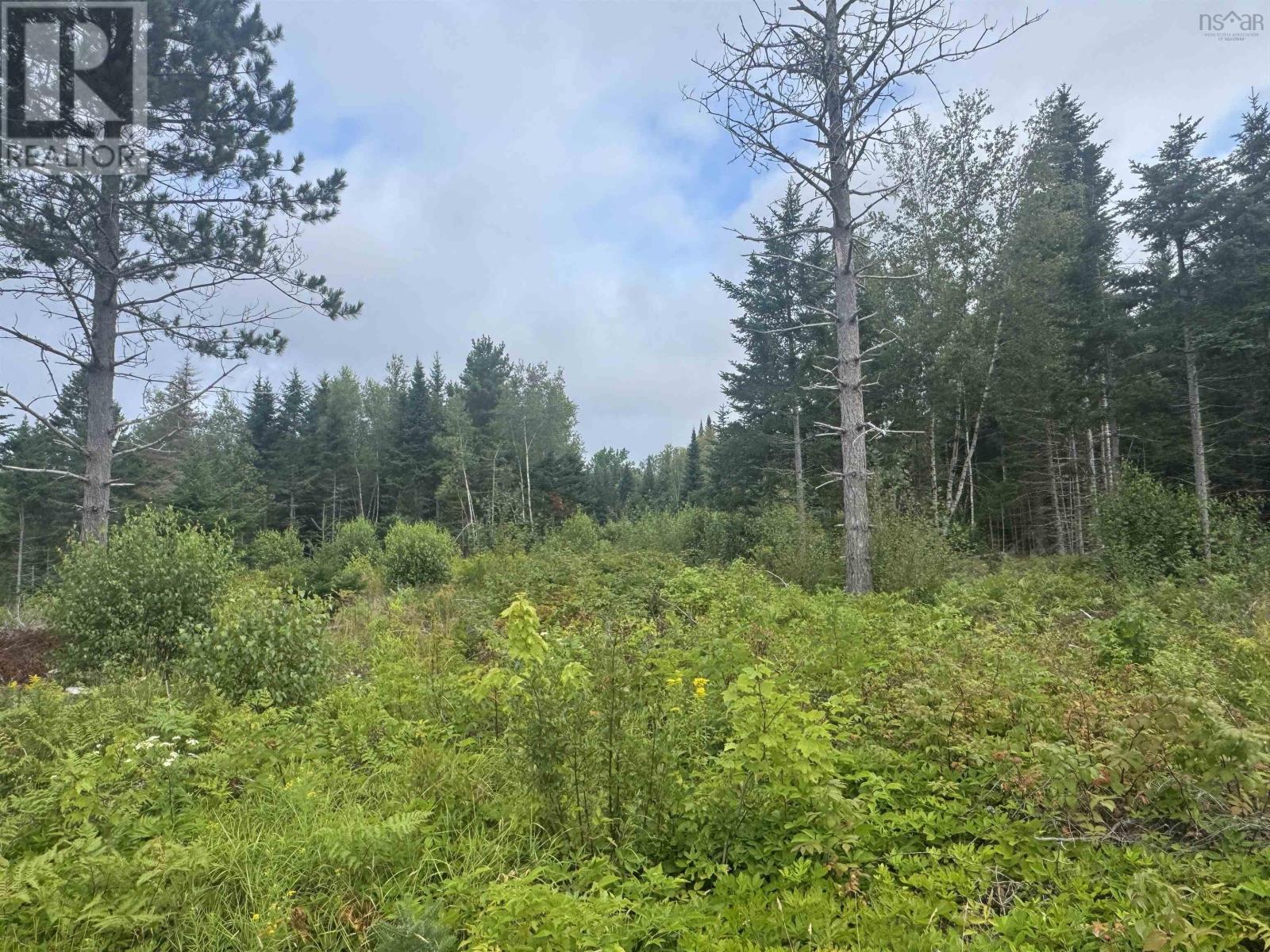 Lot A Hardwood Lake Road Property Photo 13