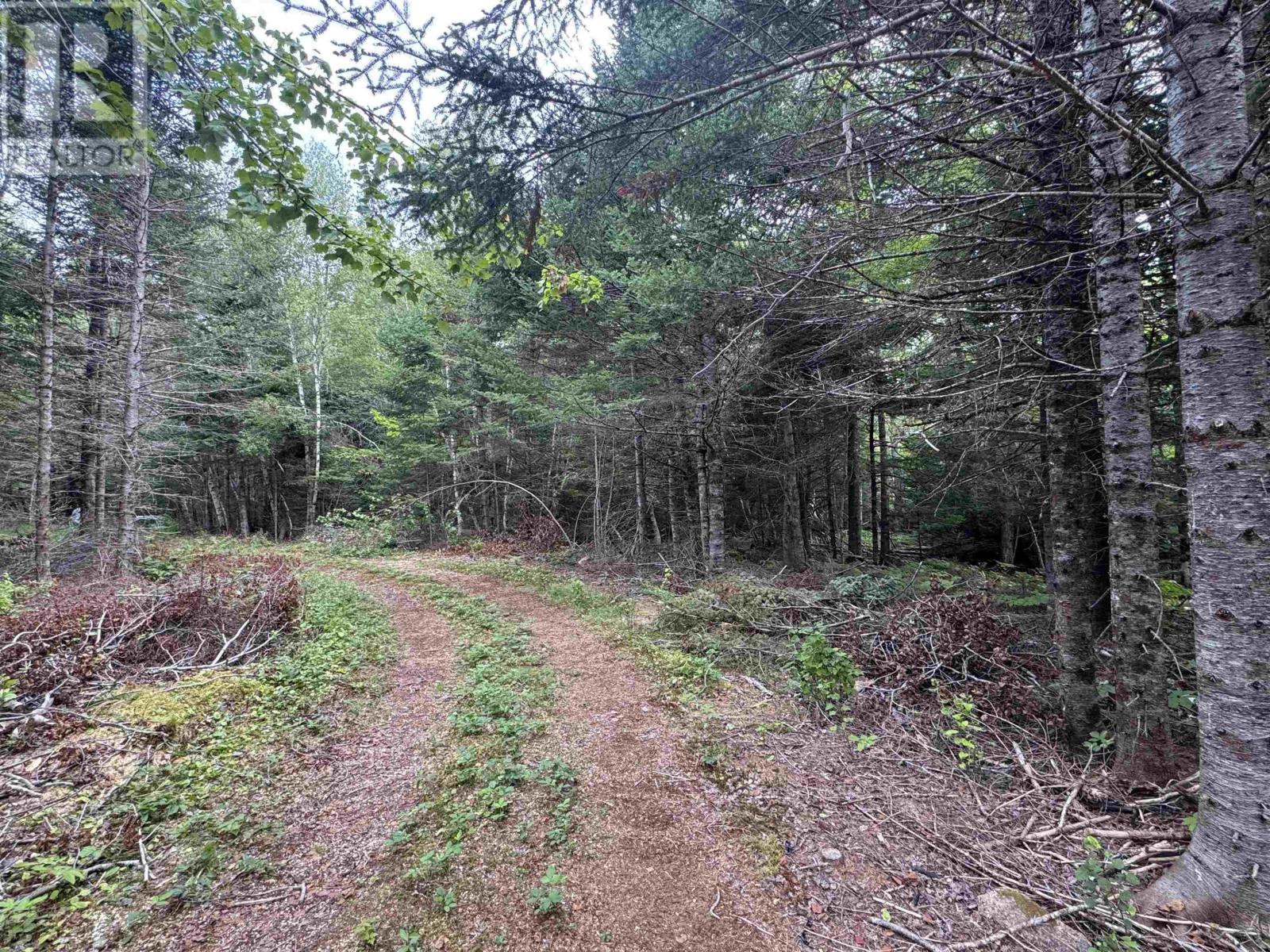 Lot A Hardwood Lake Road Property Photo 14