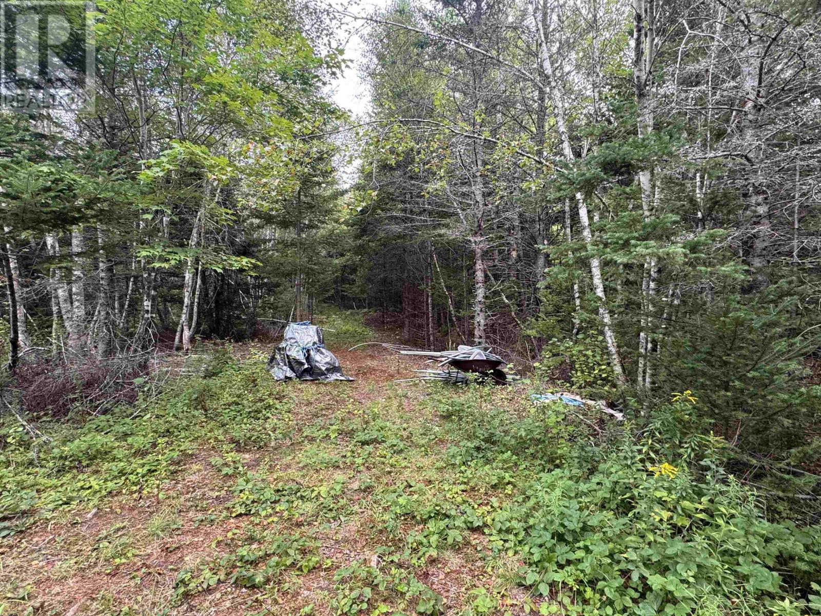 Lot A Hardwood Lake Road Property Photo 15