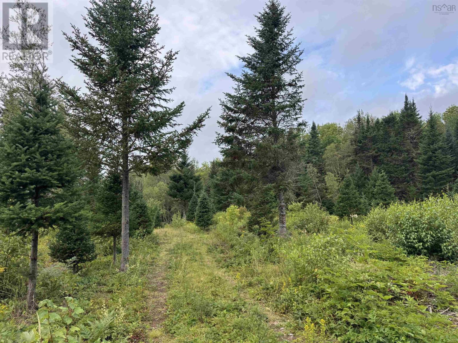 Lot A Hardwood Lake Road Property Photo 16