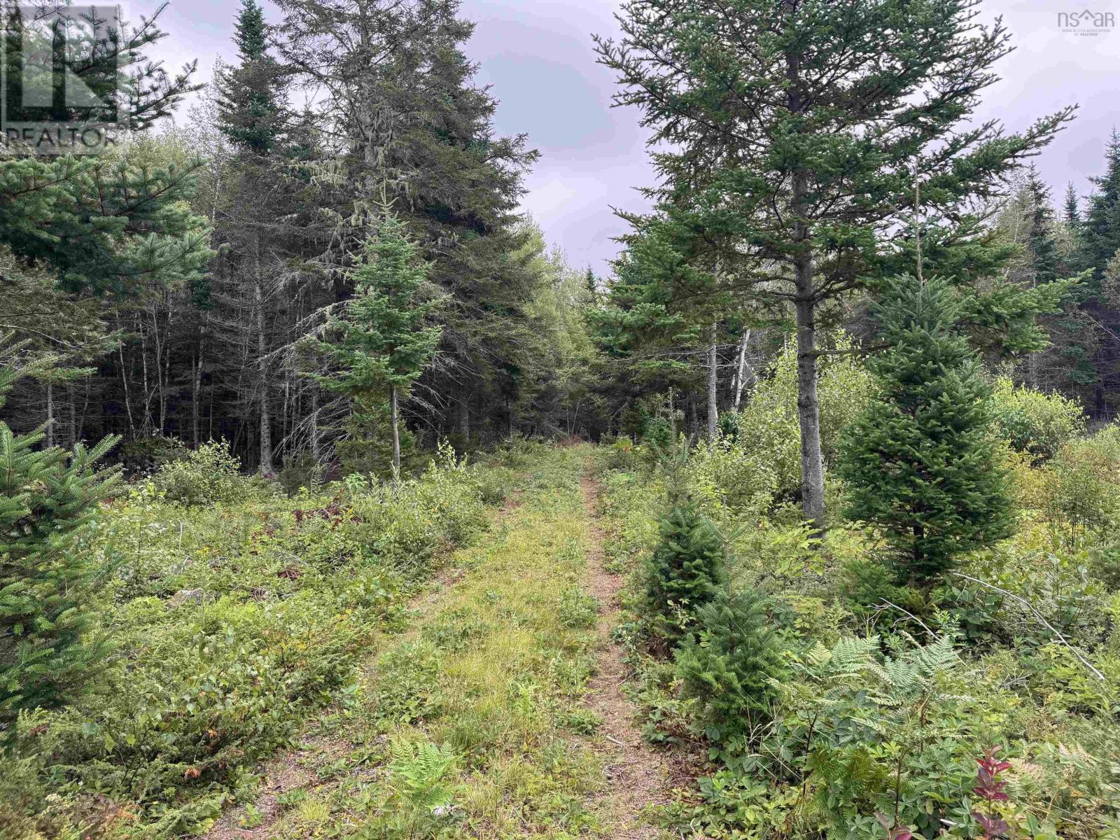 Lot A Hardwood Lake Road Property Photo 17