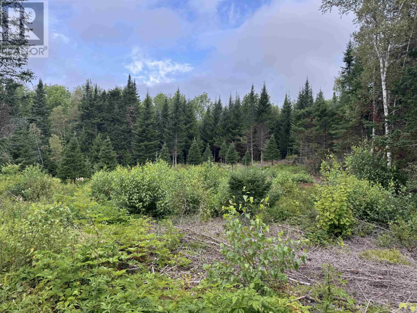 Lot A Hardwood Lake Road Property Photo 18